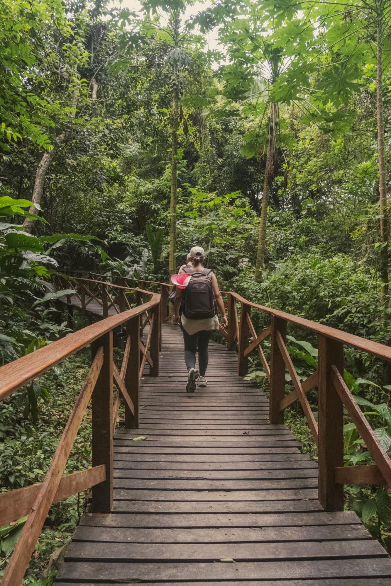 Ecohotel Yachay Tayrona Dentro Del Parque Tayrona 엘 자이노 외부 사진