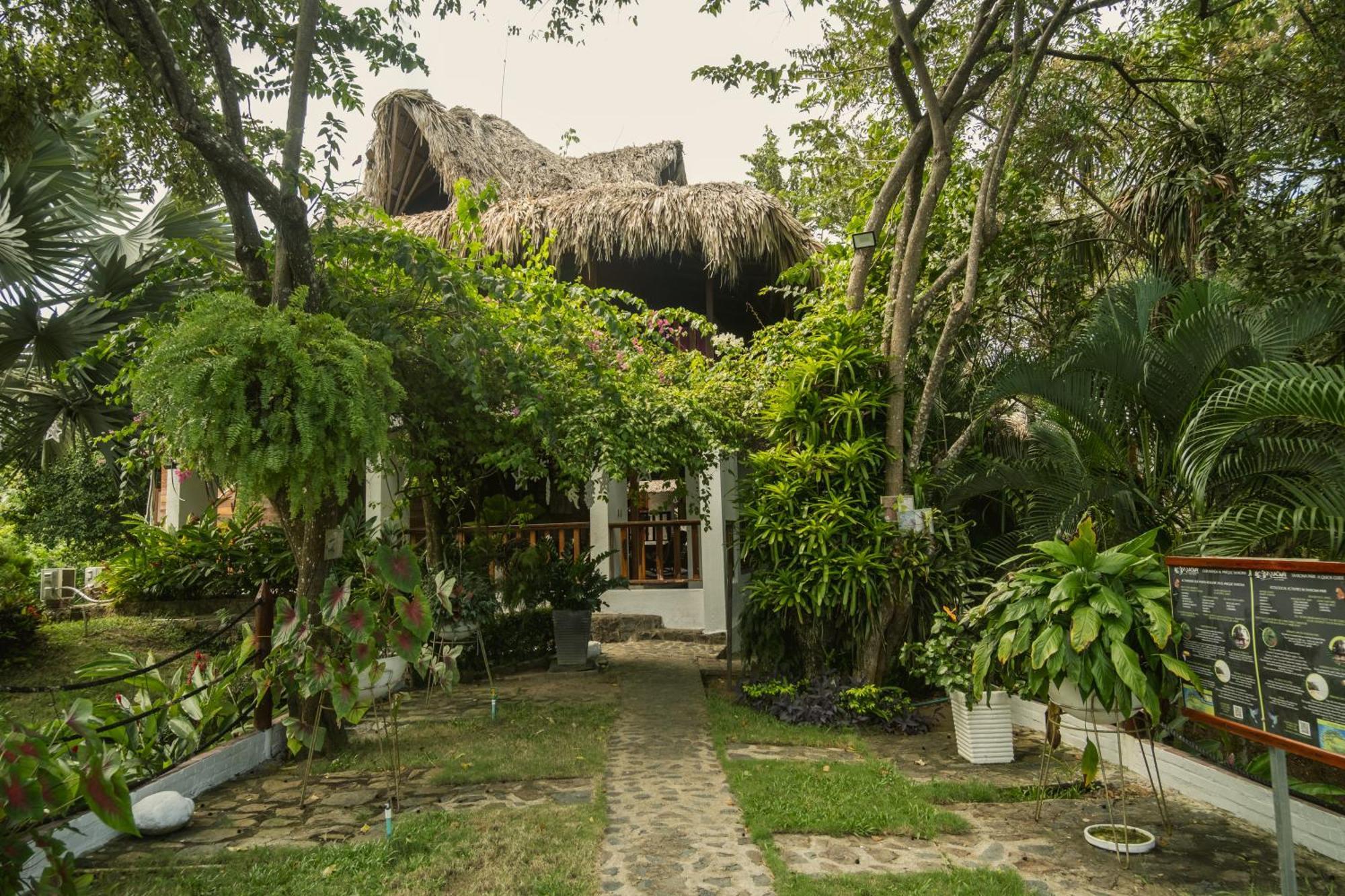 Ecohotel Yachay Tayrona Dentro Del Parque Tayrona 엘 자이노 외부 사진